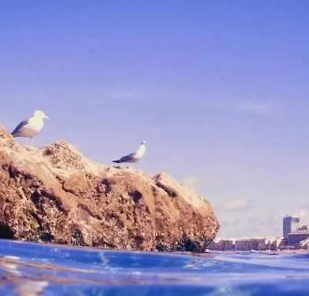 Atlanticrealtors Bernardo De La Torre Ar001 Appartamento Las Palmas de Gran Canaria